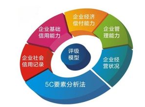 企業信用評級的科學體系 從調查到評估的完整流程解析